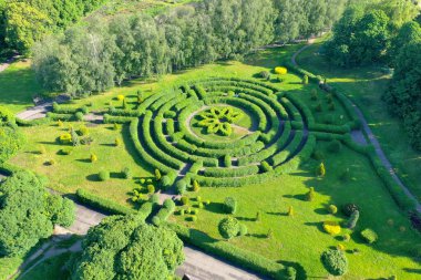 Botanik bahçesindeki yeşil çit labirentinin havadan çekilmiş görüntüsü. Doğa parkında peyzaj. Parlak yeşil renkli gür bitki örtüsü.