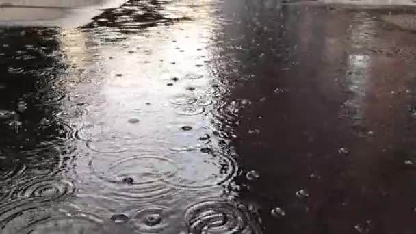 Gotas de lluvia cayendo en un charco. A cámara lenta. Clima lluvioso durante el día en la ciudad . — Vídeo de stock