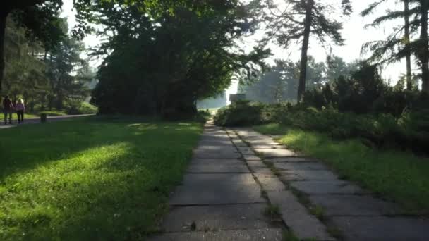 POV gestabiliseerd schot, wandelen op betonnen stoep door het lege park op mooie zonnige zomerdag — Stockvideo