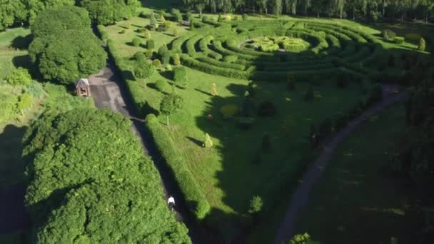 Drón repülés táj labirintus sövénybokrok nyáron egy fényes napon — Stock videók
