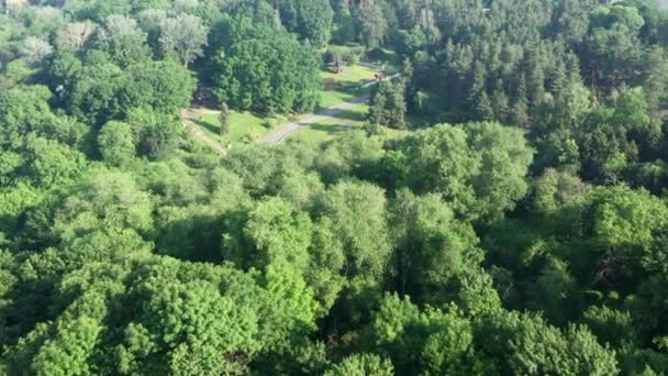 Vliegen over een zomerlandschap park. Vliegen met een drone over een groen weelderig blad. — Stockvideo