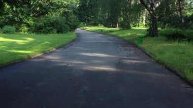 POV sabitlendi, asfalt koşu bandında yürüyor yeşil yaz parkında güneşli yaz gününde