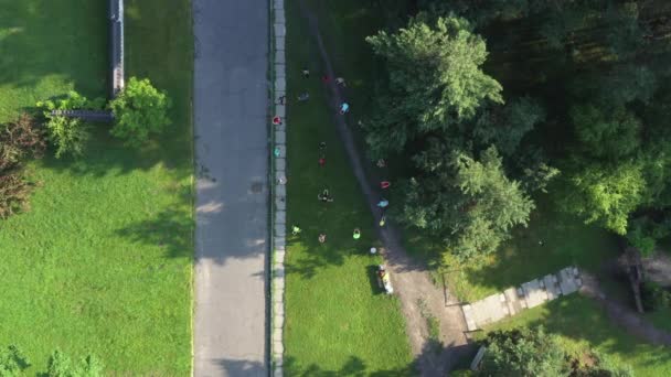 Aerial Top view Shot van groep atleten op een zomer groene gazon doet een warming-up en voert sport-oefeningen. — Stockvideo