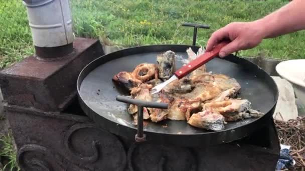 Um homem cozinha pedaços de carpa de peixe frito em uma grelha e é carped em um piquenique — Vídeo de Stock