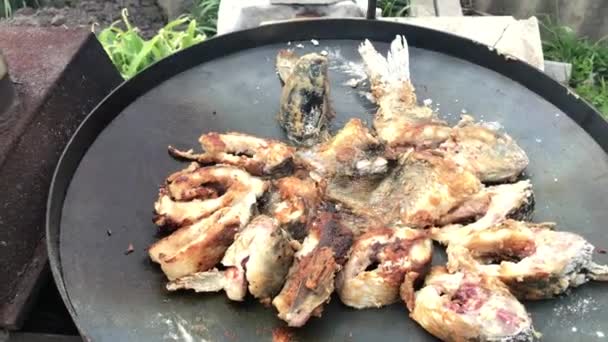 Close-up fish steaks are fried on a grill plate. — Stock Video