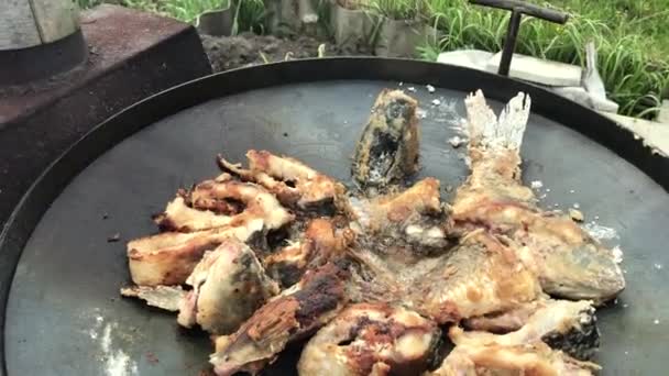 Pedaços de peixe em churrasqueira no fogo — Vídeo de Stock