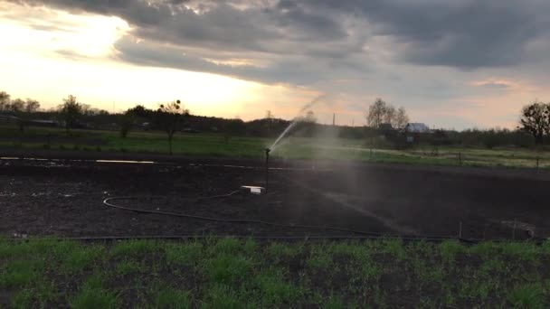 Slim systeem van automatische besproeiing van de moestuin in de avond werkt en maakt besproeiing van de grond — Stockvideo