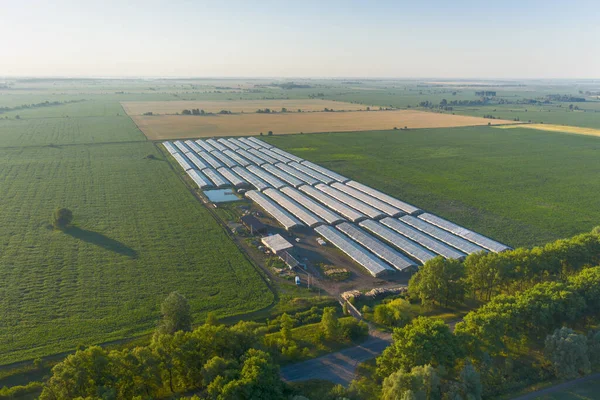 Granja hortícola autónoma ecológica hidropónica con un gran número de invernaderos para el cultivo de hortalizas entre campos verdes . — Foto de Stock