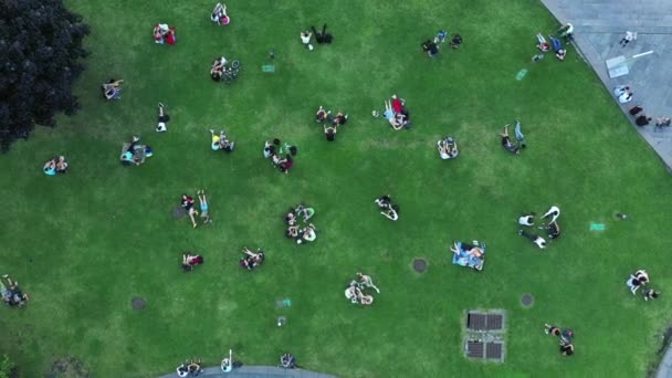 Les couples amoureux et d'autres personnes se reposent sur la pelouse verte à la fin de la journée - la fin de la quarantaine. Mettre fin à la distance sociale Vue Aérienne Par Drone.. — Video