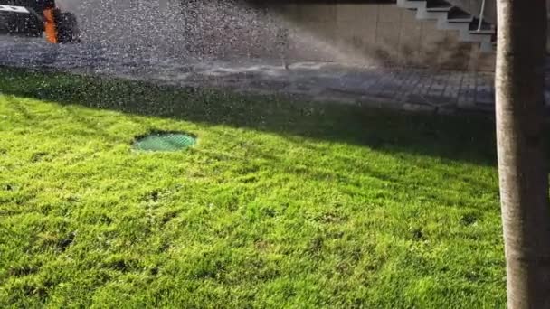 Sistema de riego automático para regar césped verde y césped rocía gotas de agua en un día soleado — Vídeo de stock