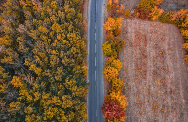 Hermoso paisaje otoñal: un camino a través del campo con árboles amarillos y naranjos - Vista superior — Foto de Stock
