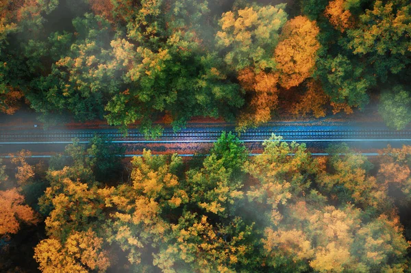 Otoño niebla paisaje con ferrocarril y niebla bosque de otoño. Vista superior. — Foto de Stock