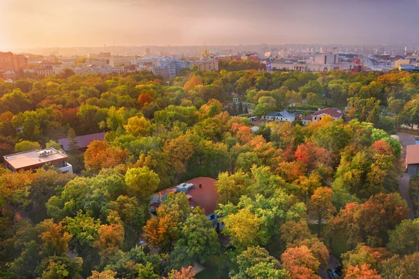 Sonbahar taçları şehir parkında sararmış ağaçlar - hava çekimi — Stok fotoğraf