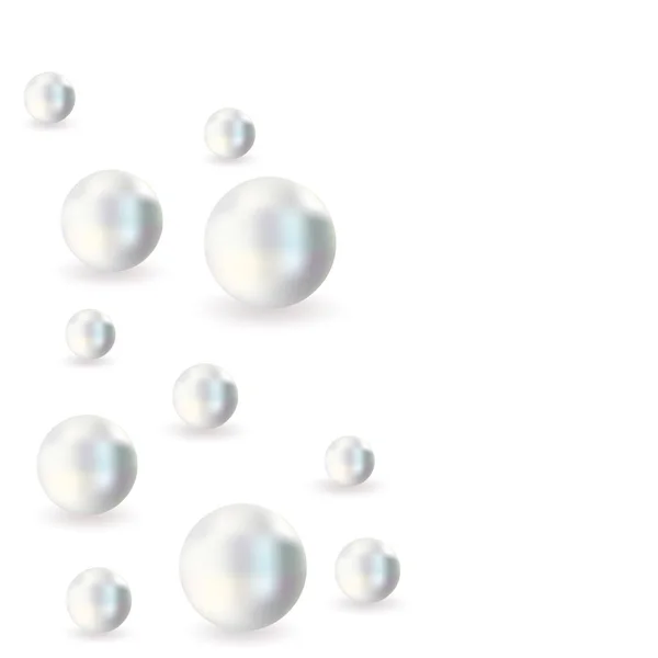 Pearls vector illustration. Pearls isolated on white backgorund with shadow. 3d natural oyster, pearls, shiny sea pearls. — Stock Vector