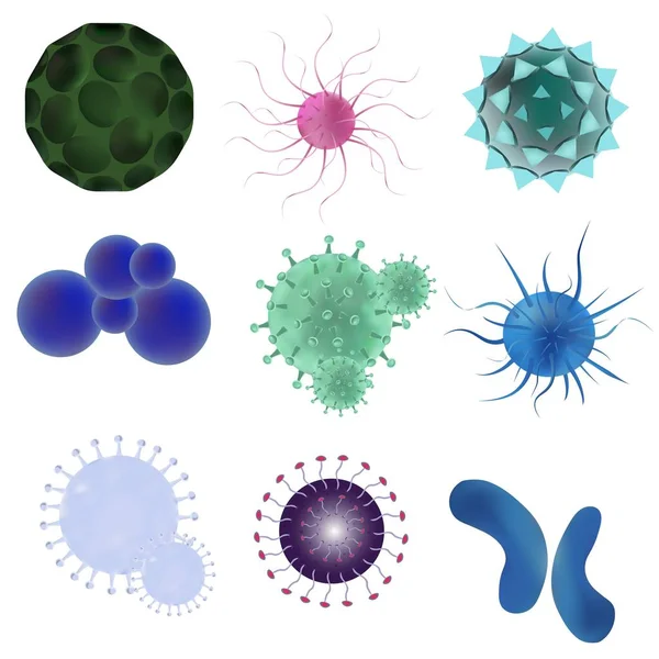 Isolerade realistisk vektor in virus och bakterier. Virus och bakterier under mikroskop. Begreppet smittade och sjuka cellen, sjukdomsframkallande mikroorganism. — Stock vektor