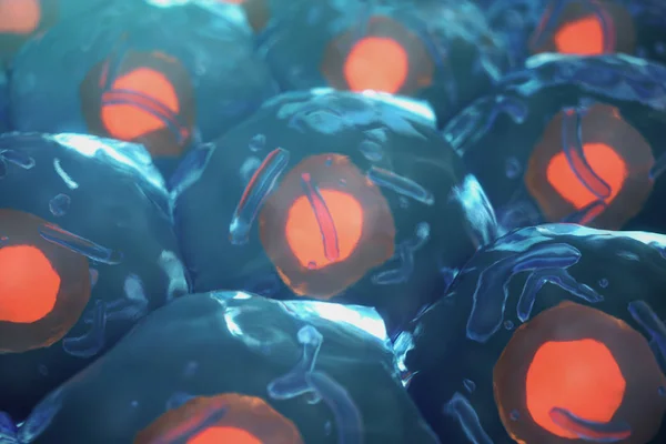 3D illustratie menselijke cellen. Cel kolonie. Concept van wetenschap en geneeskunde, het herstel van de cellen, de vernieuwing van de cellen in het levende organisme. — Stockfoto