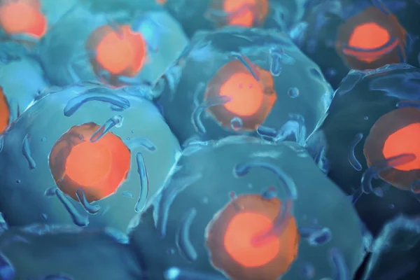 Human cells. Cell colony. Concept of science and medicine. Regeneration of cells, renewal of cells. 3D illustration