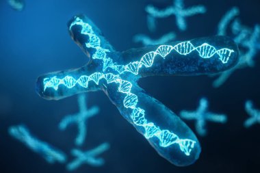 3D çizim genetik şifreyi taşıyan Dna ile X-Chromosomes. Genetik kavramı, tıp kavramı. Gelecekte, genetik mutasyonlar. Biyolojik düzeyinde genetik kod değiştirme.
