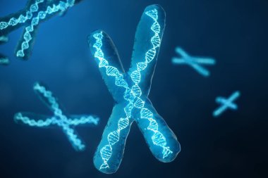 3D çizim genetik şifreyi taşıyan Dna ile X-Chromosomes. Genetik kavramı, tıp kavramı. Gelecekte, genetik mutasyonlar. Biyolojik düzeyinde genetik kod değiştirme.