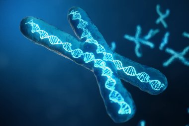 3D çizim genetik şifreyi taşıyan Dna ile X-Chromosomes. Genetik kavramı, tıp kavramı. Gelecekte, genetik mutasyonlar. Biyolojik düzeyinde genetik kod değiştirme.