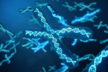 3D çizim genetik şifreyi taşıyan Dna ile X-Chromosomes. Genetik kavramı, tıp kavramı. Gelecekte, genetik mutasyonlar. Biyolojik düzeyinde genetik kod değiştirme.