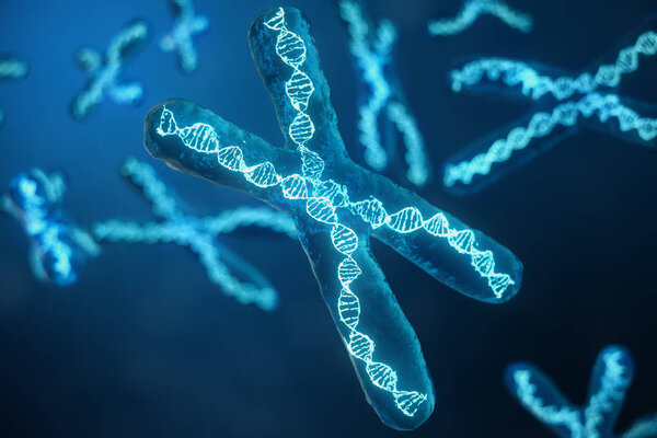 3D illustration X-Chromosomes with DNA carrying the genetic code. Genetics concept, medicine concept. Future, genetic mutations. Changing the genetic code at the biological level.