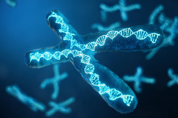 3D illustration X-Chromosomes with DNA carrying the genetic code. Genetics concept, medicine concept. Future, genetic mutations. Changing the genetic code at the biological level.