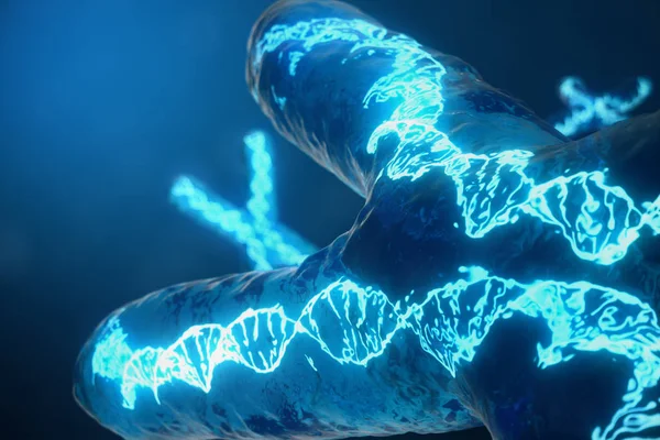 3D çizim genetik şifreyi taşıyan Dna ile X-Chromosomes. Genetik kavramı, tıp kavramı. Gelecekte, genetik mutasyonlar. Biyolojik düzeyinde genetik kod değiştirme. — Stok fotoğraf