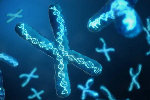 3D illustration X-Chromosomes with DNA carrying the genetic code. Genetics concept, medicine concept. Future, genetic mutations. Changing the genetic code at the biological level. — Stock Photo, Image