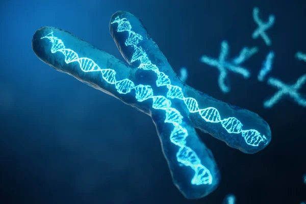 3D απεικόνιση X-Chromosomes με το Dna, που μεταφέρουν τον γενετικό κώδικα. Έννοια της γενετικής, ιατρική έννοια. Μέλλον, γενετικές μεταλλάξεις. Αλλάζει ο γενετικός κώδικας στο βιολογικό επίπεδο. — Φωτογραφία Αρχείου