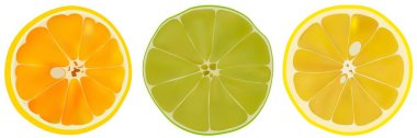 Vektör kümesi Narenciye meyve limon, portakal ve limon. Beyaz zemin üzerine dilimlenmiş narenciye izole. Narenciye yarım