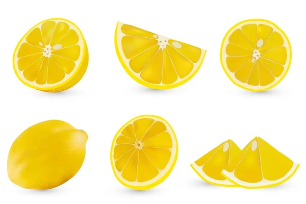 Vector 3d realistisch gesneden citroen. Geïsoleerde gesneden citroen op witte backgrpund. Citrus helften. — Stockvector