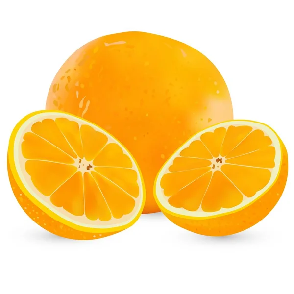 Conjunto de vetores laranja inteira realista e meia laranja isolada no fundo branco . — Vetor de Stock