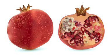 Beyaz arka plan üzerinde izole 3d vektör gerçekçi nar, tropikal meyve kümesi. Set olgun nar. İzole kırmızı yakut nar meyve.