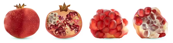3D vektor realistiska granatäpple, tropisk frukt set, isolerad på vit bakgrund. — Stock vektor