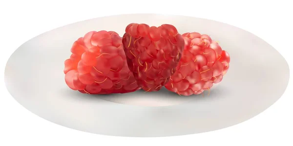Set di lamponi realistici.Illustrazione vettoriale, frutta in un piatto. Lampone utile . — Vettoriale Stock