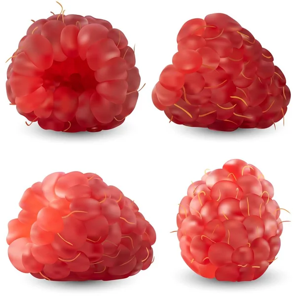 Set raspberry realistis dari sudut yang berbeda Terisolasi terhadap latar belakang putih. Vektor ilustrasi. Buah yang berguna, vitamin - Stok Vektor