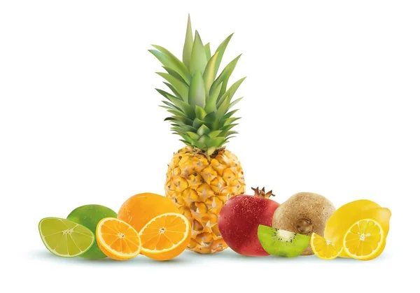 Realistische Früchte auf weißem Hintergrund, Ananas, Zitrone, Kiwi, Limette, Granatapfel, Orange. Vektorgrafik. — Stockvektor