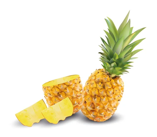 Realistiska ananas på en vit bakgrund närbild. Vektorgrafik. Frukter. — Stock vektor