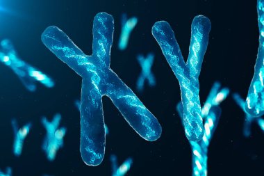 Genetik kodunu taşıyan Dna ile XY kromozomu. Genetik kavramı, tıp kavramı. Gelecekte, Genetik mutasyonlar. Biyolojik düzeyinde genetik kod değiştirme. 3D çizim