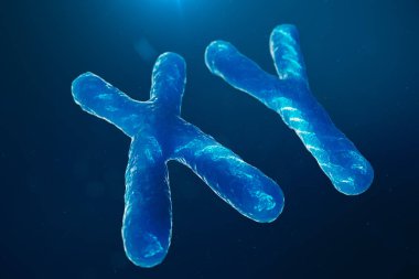 Genetik kodunu taşıyan Dna ile XY kromozomu. Genetik kavramı, tıp kavramı. Gelecekte, Genetik mutasyonlar. Biyolojik düzeyinde genetik kod değiştirme. 3D çizim