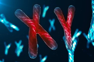 XY-kromozomları DNA, virüs veya enfeksiyon enfeksiyon vücuda nüfuz eder. Erkek kromozomları. Genetik kodu taşıyan DNA ile kromozomlar. Biyolojik düzeyde genetik kodu değiştirme. 3d