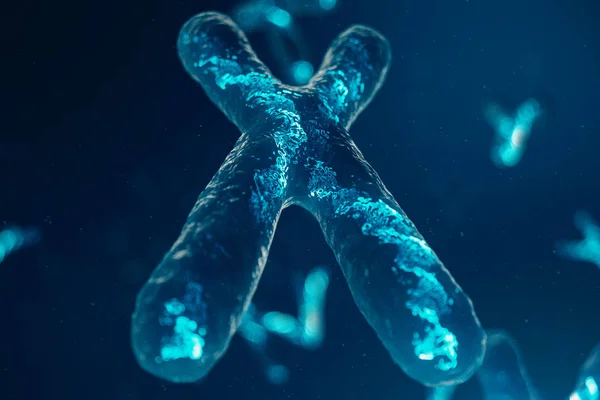 X-Chromosomes with DNA carrying the genetic code. Genetics concept, medicine concept. Future, genetic mutations. Changing the genetic code at the biological level. 3D illustration