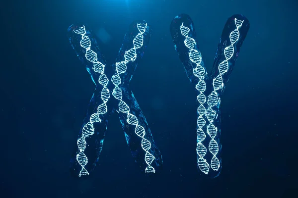 XY-хромосомы с ДНК, несущей генетический код. Концепция генетики, медицина. Будущее, генетические мутации. Изменение генетического кода на биологическом уровне. 3D иллюстрация — стоковое фото