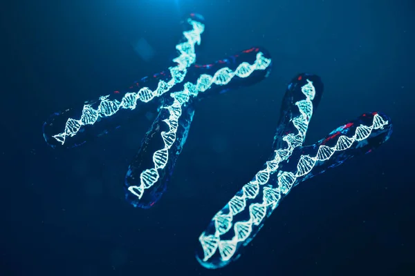 XY-Chromosomes with DNA carrying the genetic code. Genetics concept, medicine concept. Future, genetic mutations. Changing the genetic code at the biological level. 3D illustration