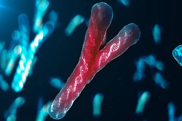 Y 染色体の感染は Dna、ウイルスまたは感染が身体を貫通する。遺伝子コードを運ぶ Dna を持つ染色体生物学的レベルで遺伝コードを変更します。3d イラストレーション — ストック写真