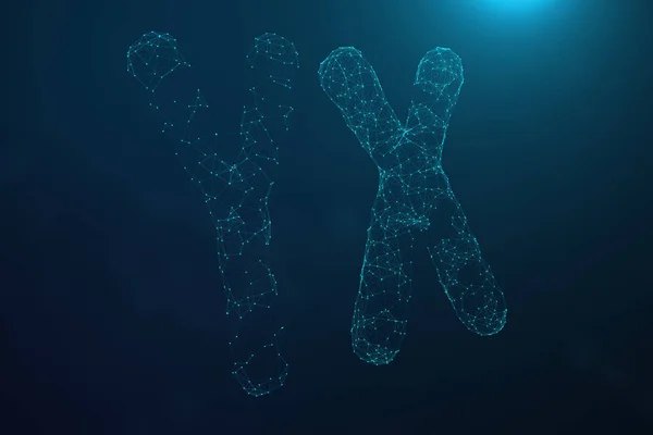 3D Illustration Polygonal Low poly Digital Artificial XY-Chromosomes Consisting Dots And Lines On Blue Background. Концепция генетики, концепция искусственного интеллекта. Двоичный код в — стоковое фото