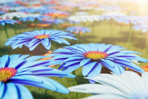 Hermosas flores azules en flor sobre un fondo de hierba en un día soleado. Flores de gerberas o flores de margaritas. Hermoso fondo para su diseño, sitios, ilustración 3d —  Fotos de Stock