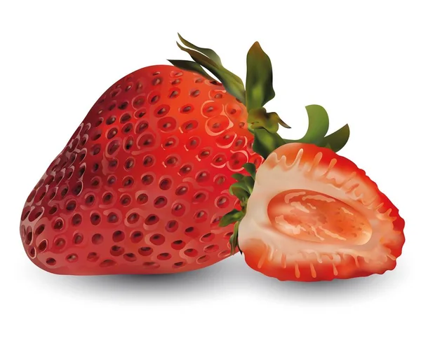 Strawberry realist 3d vector. Сырые клубничные фрукты. Слизистая клубника изолирована на белом фоне. Концепция хорошего питания, здорового питания и образа жизни. Векторная иллюстрация — стоковый вектор
