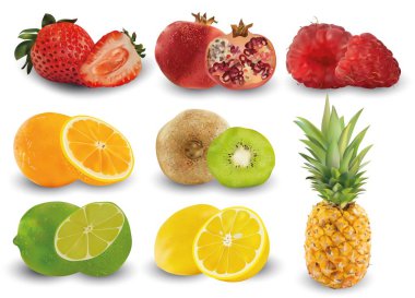 Çilek, nar, ahududu, portakal, kivi, limon, limon ve ananas seti. Set, altı meyve grubu. Çiğ meyve. Kavram iyi beslenme, sağlıklı gıda ve yaşam tarzı, Vektör illüstrasyon
